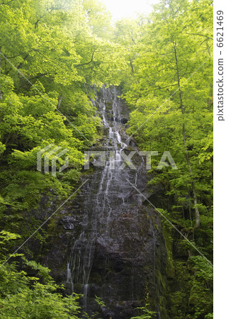 姐姐的瀑布 6621469