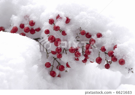 Indeed snow in southern skies Indeed snow in southern skies 6621683