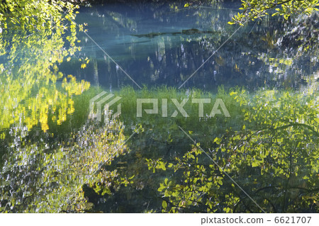 春天的春天池塘 6621707