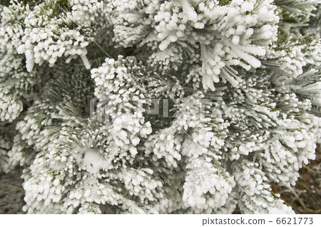  Foggy ice 6621773