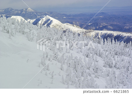 Zao forecast 6621865