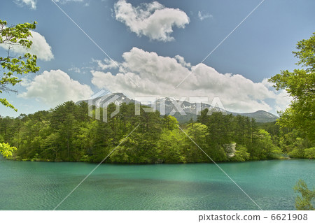 Bishamon Swamp 6621908