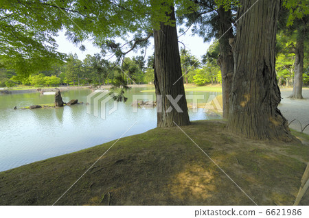 Hikoshiji花園 6621986