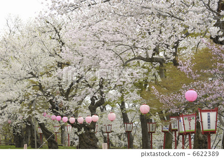 Torihatsu Park 6622389