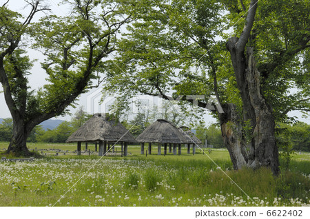 Ancient house 6622402