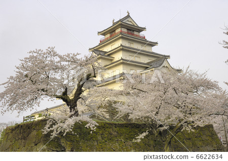 Tsuruga castle 6622634