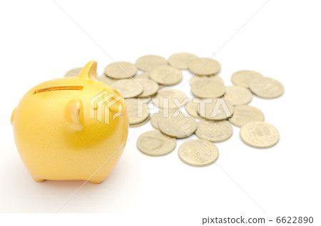 Pig saving money box 500 yen 6622890