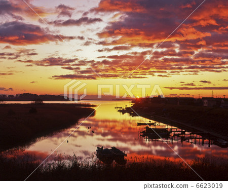 Morning glow mouth 6623019