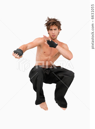 Jumping martial arts fighter 6631055