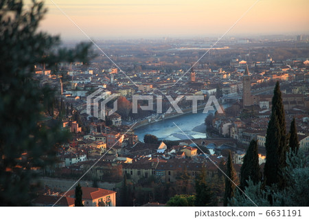 維羅納遠見卓識 6631191