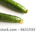 Two picked cucumbers with yellow flowers 6631593