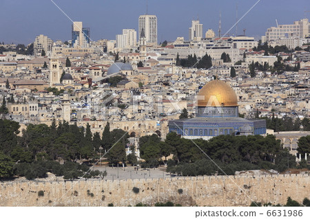 從橄欖山的寺廟山和耶路撒冷老鎮 6631986