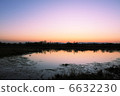 Swamp of dusk 6632230