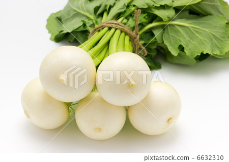 turnip turnip 6632310