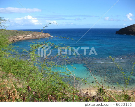 Hanauma Bay Hanauma Bay 6633135