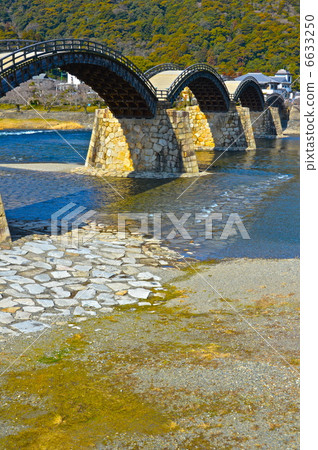 從左岸看到的“金泰橋”(山口縣岩國市岩國市) 從左岸看到的“金泰橋”(山口縣岩國市岩國市) 6633250