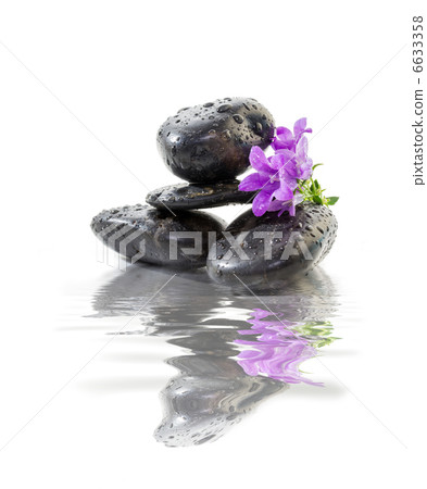 zen Stones with purple flowers 6633358