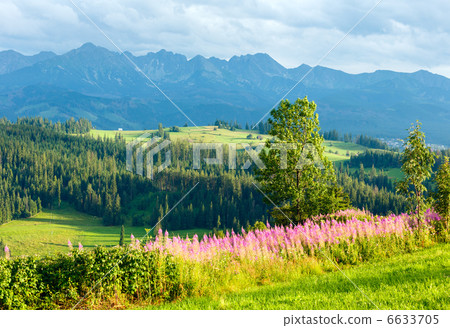 Summer mountain country view 6633705