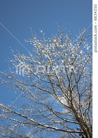 blue sky and rime 6634350