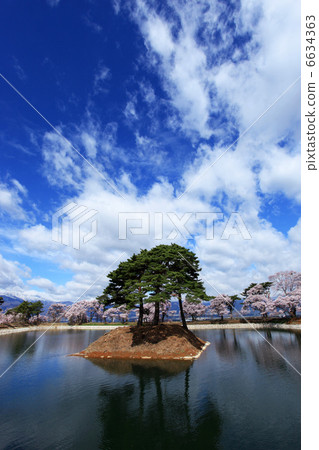 Hikanzakura blooming at the Inabi / Rokudo's bank 6634363
