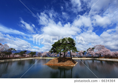 Hikanzakura blooming at the Inabi / Rokudo's bank 6634364