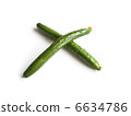 2 cucumbers with flowers 6634786
