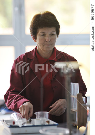 science and chemistry teacher portrait in classroom science and chemistry teacher portrait in classroom 6639677