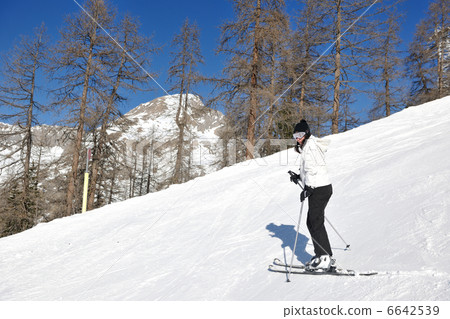 skiing on fresh snow at winter season at beautiful sunny day skiing on fresh snow at winter season at beautiful sunny day 6642539