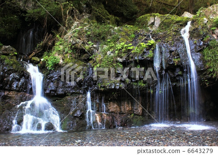 餐飲馬瀑布充滿清爽的感覺 6643279