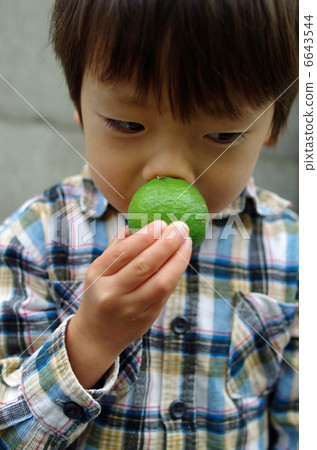 Children smelling yuzu 6643544