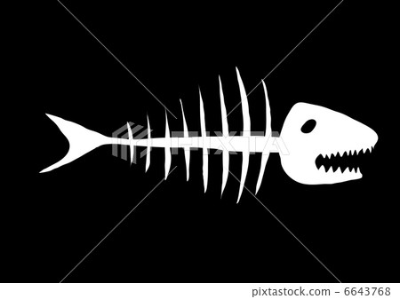 Vector illustration of white skeleton of fish on a black background       6643768