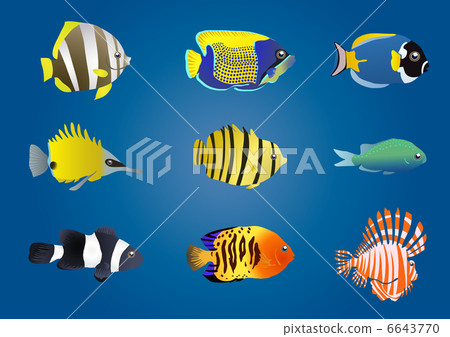 Vector illustration of exotic fishes on a blue background   6643770