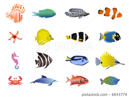 Vector illustration of set of sea creatures      6643774
