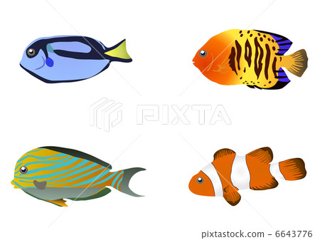 Vector illustration of four tropical fishes  6643776