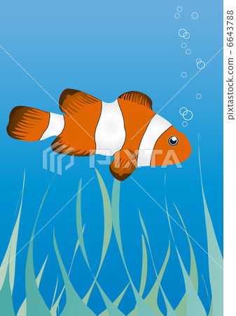 Vector illustration of clownfish under water   6643788
