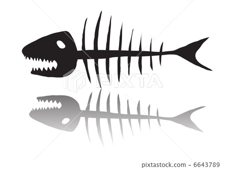 Vector illustration of black skeleton of fish      6643789