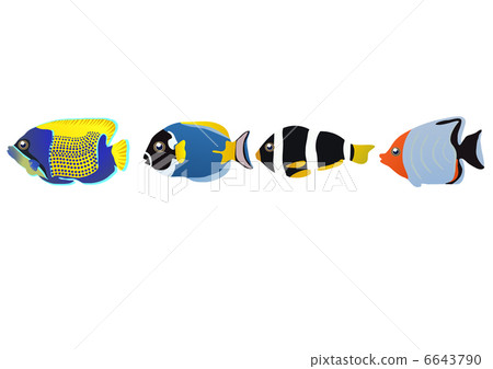 Vector illustration of row of tropical fishes isolated over white     6643790
