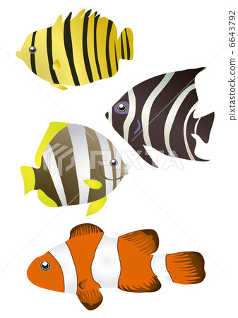 Vector illustration of stripy tropical fishes  6643792