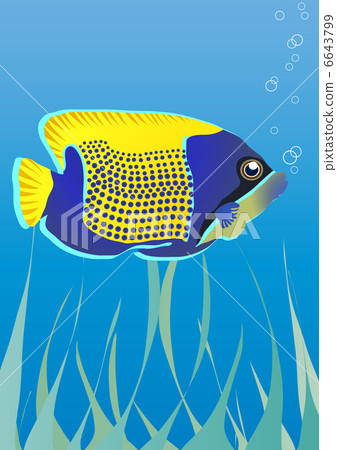 Vector illustration of tropical fish under water      6643799