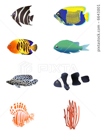 Vector illustration of exotic fishes with coral  6643801