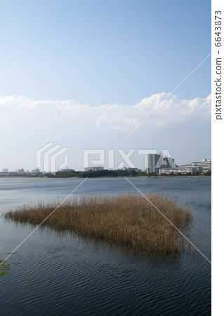 Yatsu tidal flat 6643873