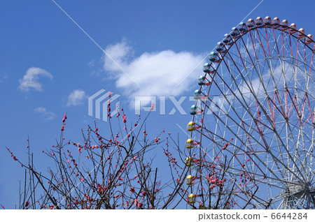 Plum Ferris Wheel Tourism 6644284