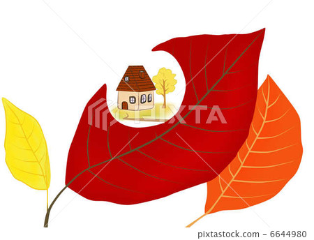 Autumn leaves season 6644980