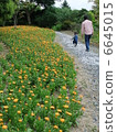 Promenade 6645015