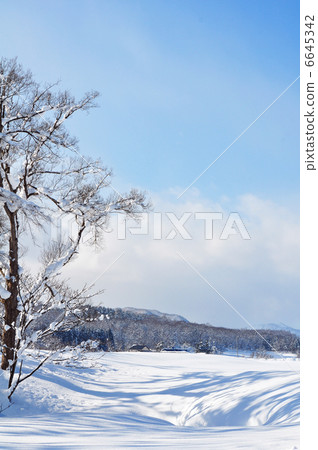 森林的剪影 6645342