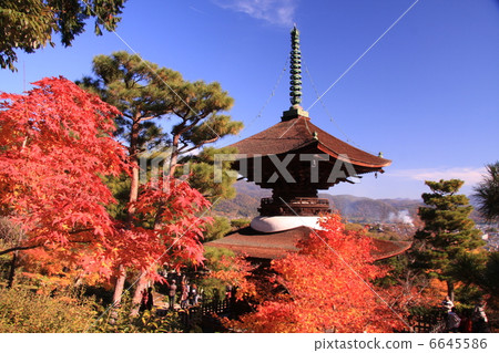 Jogakkoji寺廟秋葉 6645586