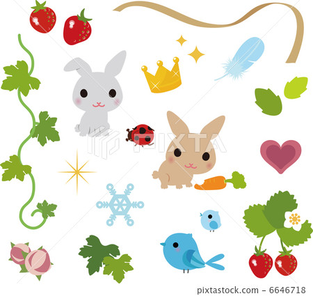 Forest animals and plants 6646718