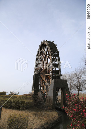 冬季景觀 冬季景觀 6646900