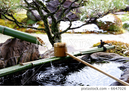 Tsubaai Tsubaai 6647026