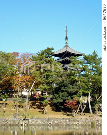 世界遺產·奈良 6647659